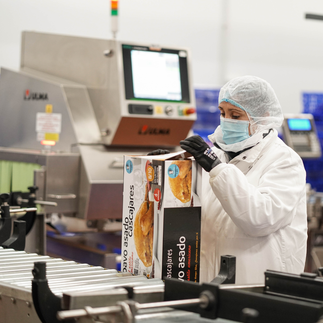 Modernización Tecnológica para Fabricación y envasado de productos. Industria Gastronómica Blanca Mencía. Cascajares.